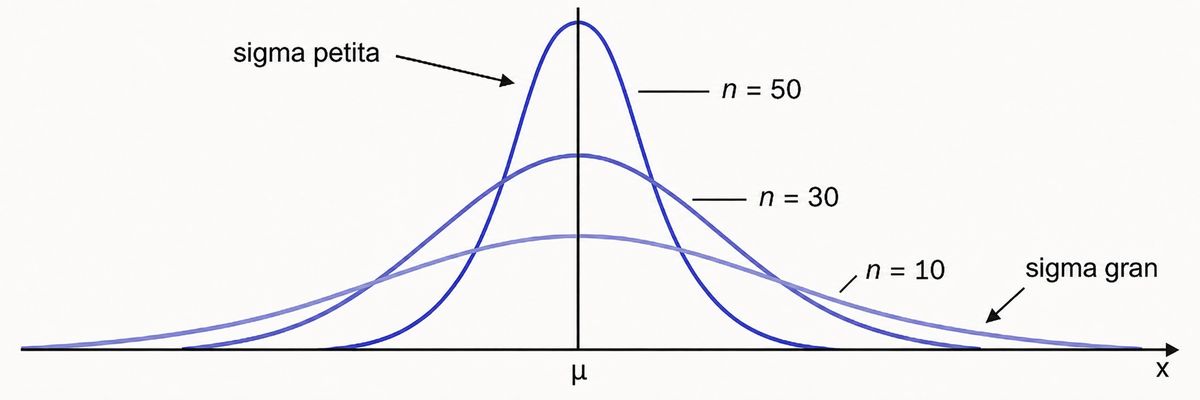 Comparació de diverses distribucions normals centrades en μ, amb corbes més estretes o més amples segons el valor de sigma i la mida de la mostra.