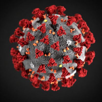 Representació tridimensional del virus SARS-CoV-2, responsable de la COVID-19, amb les característiques proteïnes en forma d’espícula a la seva superfície.