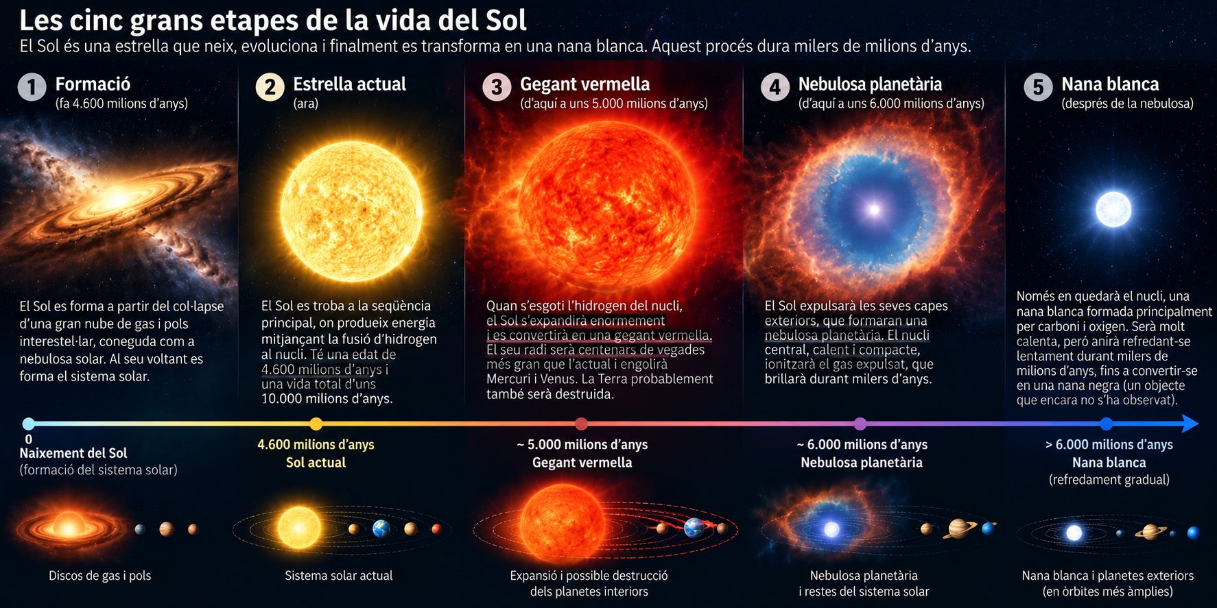 Infografia de les cinc grans etapes de la vida del Sol: formació a partir d'una nebulosa, estrella actual, gegant vermella, nebulosa planetària i nana blanca, amb una línia temporal de la seva evolució.