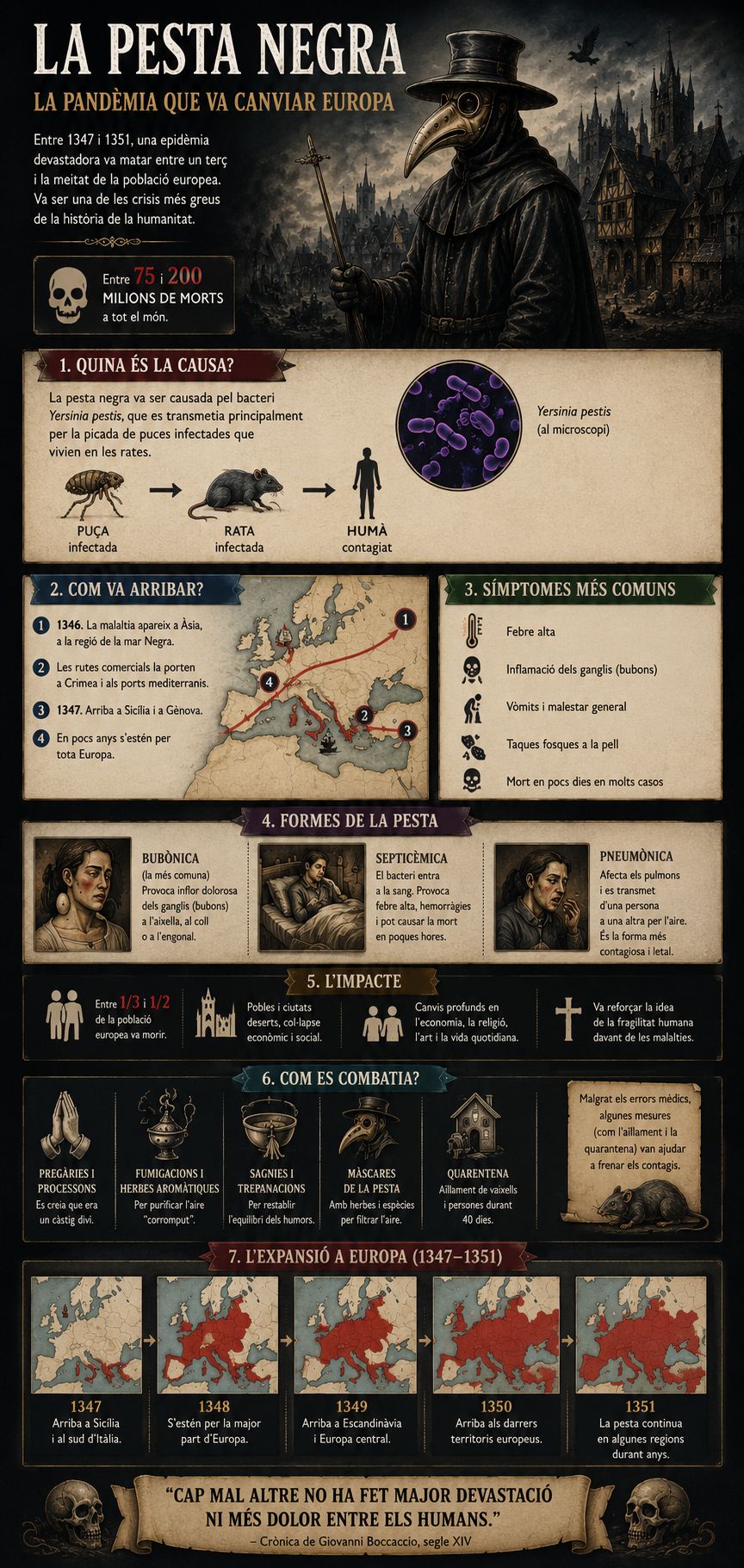 Infografia sobre la pesta negra amb informació sobre les causes, els símptomes, l'expansió i l'impacte de la pandèmia a Europa