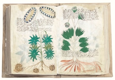 LLibre El Manuscrit Voynich