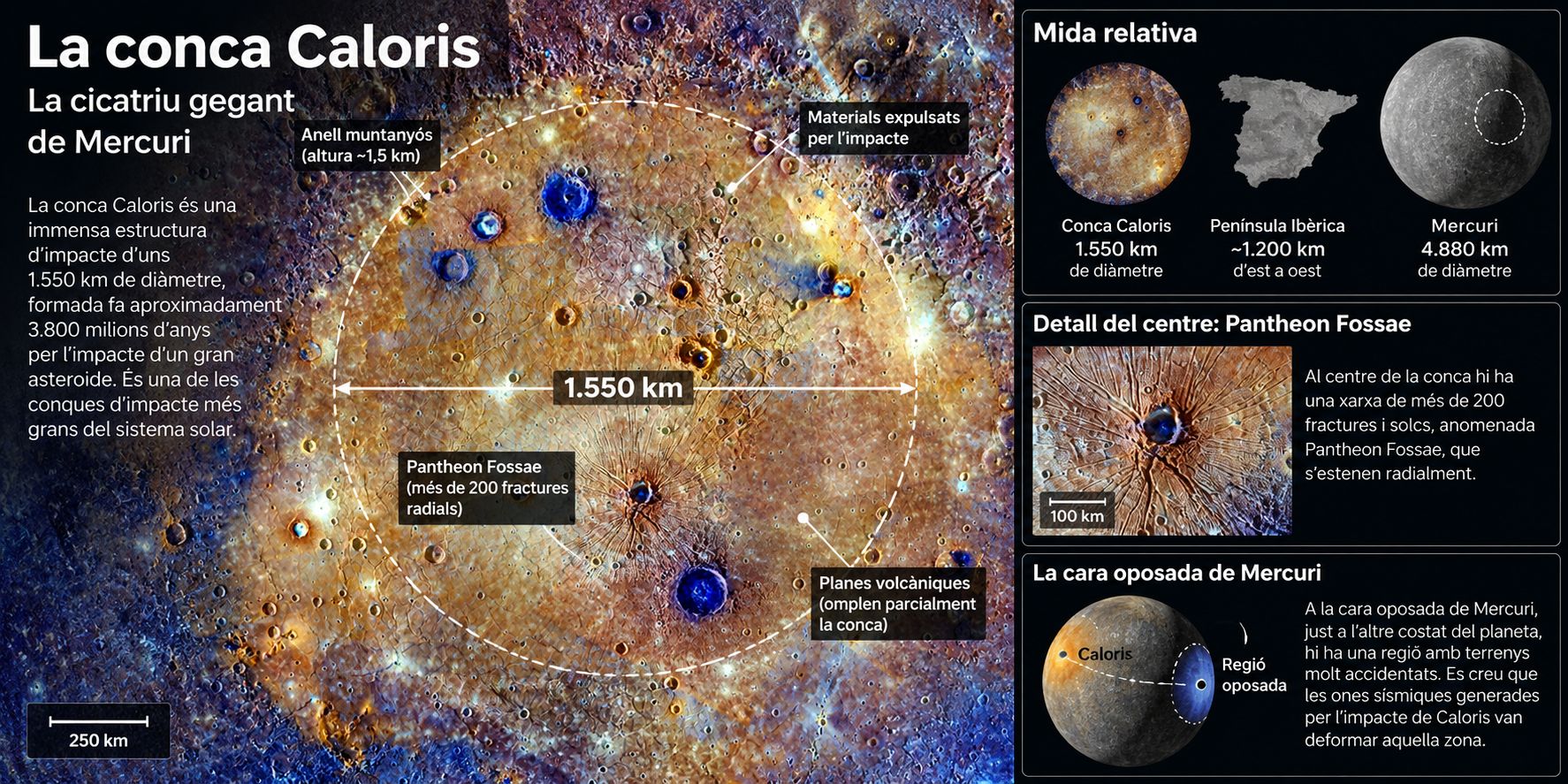 Infografia de la conca Caloris de Mercuri, elaborada a partir d'una imatge de la NASA, amb indicacions del seu diàmetre de 1.550 km, les fractures de Pantheon Fossae, les planes volcàniques i els efectes de l'impacte a la cara oposada del planeta.