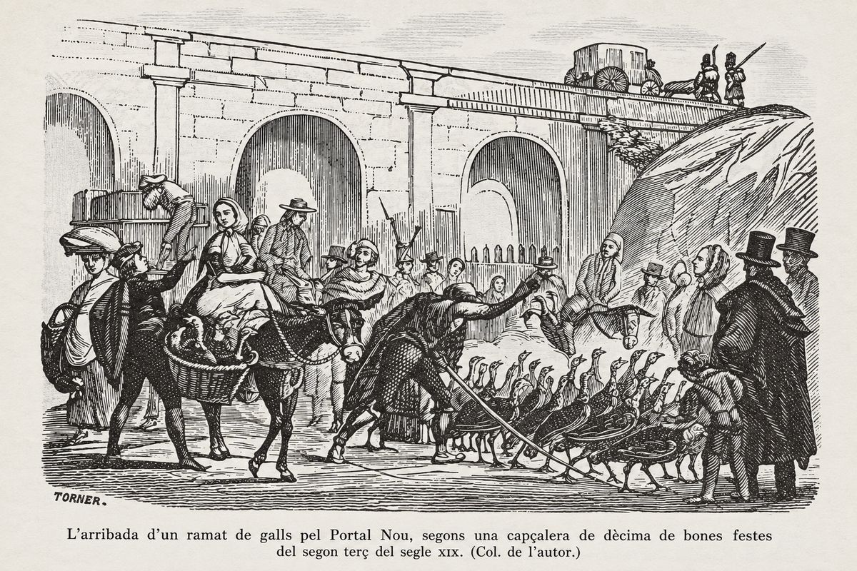 Imatge que visualitza l'arribada d'un ramat de galls al Portal Nou de Barcelona